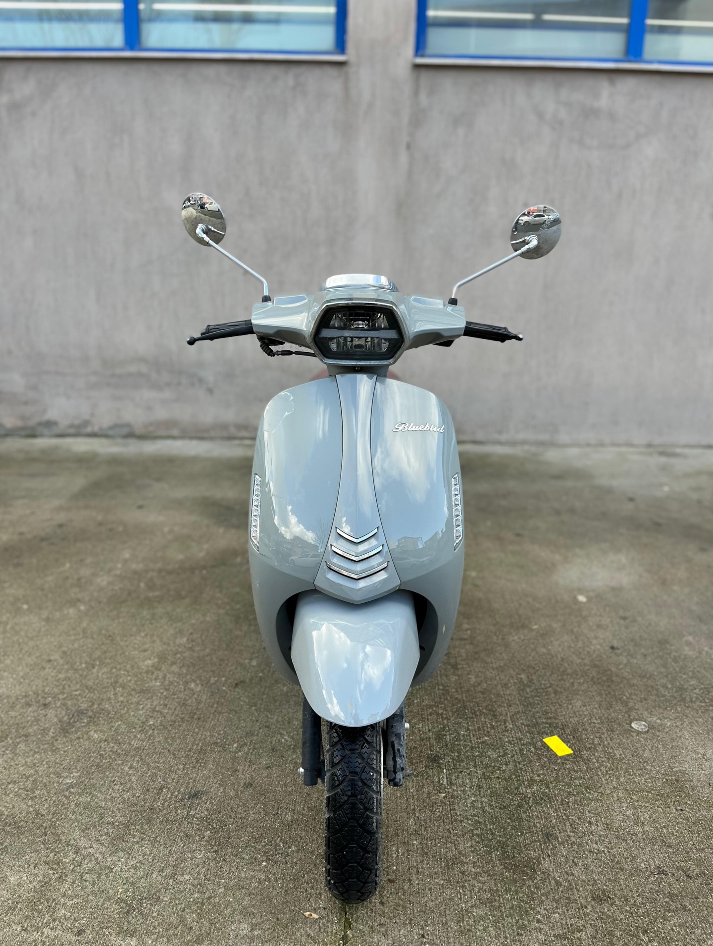 2023 Model Küba Bluebird - Görsel 4